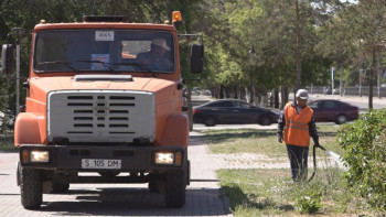 Фотография к новости: Павлодарда жасыл желекті суаратын көліктер саны артты