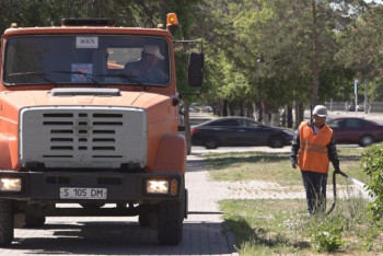 Павлодарда жасыл желекті суаратын көліктер саны артты