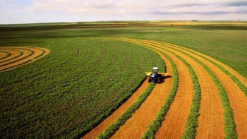 Фотография к новости: Нәтижесі аз болса да ауыл шаруашылығына арналған 10 бағдарлама әзірленген