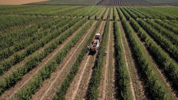 Фотография к новости: ШҚО-да ауыл шаруашылығы жерлерінің қолданылуы алыстан бақыланады