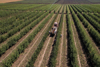 Фотография к новости: ШҚО-да ауыл шаруашылығы жерлерінің қолданылуы алыстан бақыланады