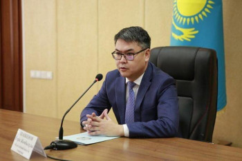 Фотография к новости: Аналар министрліктің алдына еріккендерінен келмейді – Шәпкенов