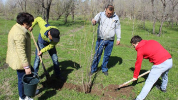 Фотография к новости: 2022 жылы елімізде 244 млн ағаш отырғызылады