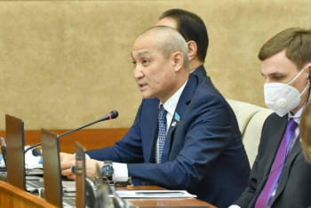 Фотография к новости: Малдың бәрі қырылып жатыр. Депутат төтенше жағдай жариялауды ұсынды