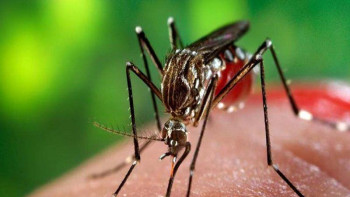 Фотография к новости: Масадан толық құтыла алмаймыз – Әбілқайыр Сқақов