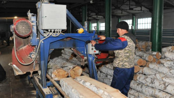 Фотография к новости: Шығыс Қазақстанда ағаш өңдейтін орталық ашу жоспарлануда