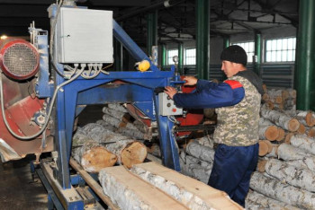 Фотография к новости: Шығыс Қазақстанда ағаш өңдейтін орталық ашу жоспарлануда