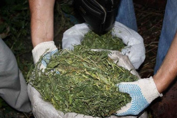 Фотография к новости: Биыл 2 тоннаға жуық түрлі есірткі тәркіленді