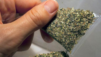 Фотография к новости: Әлем халқының 270 млн-нан астамы – тұрақты нашақор