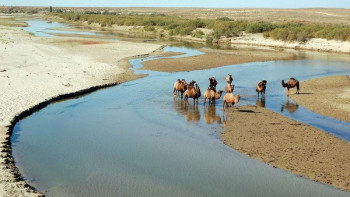 Фотография к новости: Оразалин Ойыл мен Қобда өзендерінің жағдайы қалай шешілетінін айтты