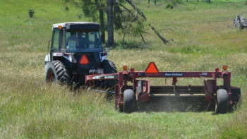 Фотография к новости: Жуалы шаруаларның тәжірибесін өзгелер де үйренуі керек