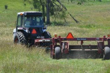 Фотография к новости: Жуалы шаруаларның тәжірибесін өзгелер де үйренуі керек