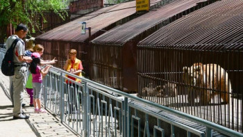 Фотография к новости: Шымкенттегі хайуанаттар бағын жөндеуге бөлінген қаржының бір бөлігі елді мекендерге жұмсалған