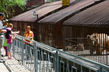 Фотография к новости: Шымкенттегі хайуанаттар бағын жөндеуге бөлінген қаржының бір бөлігі елді мекендерге жұмсалған