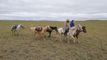Фотография к новости: Нұр-Сұлтаннан Жидебайға дейін. Дариға Назарбаевамен келісеміз. Біз адастық