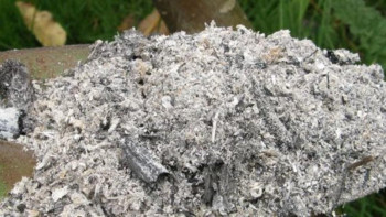 Фотография к новости: Павлодар облысында электр станцияларының қалдықтарынан шикізат жасалып жатыр