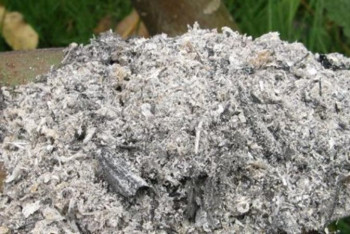 Павлодар облысында электр станцияларының қалдықтарынан шикізат жасалып жатыр