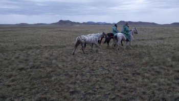 Фотография к новости: Нұр-Сұлтаннан Жидебайға дейін. Салт аттылар ШҚО шекарасына кірді 