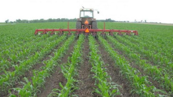 Фотография к новости: Сыр шаруалары суды көп қажет етпейтін дақылдар өсіруде