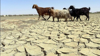 Фотография к новости: Бұл мәселе қиын болып тұр – Архимед Мұхамбетов