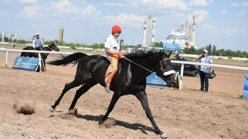 Фотография к новости: Елбасы кубогін Назарбаевтың аты иеленді