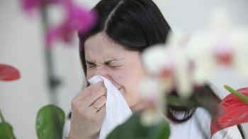 Фотография к новости: Аллергиктер коронавирусқа жиі шалдығады – маман