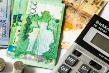 Фотография к новости: Мемлекет мүгедек баласы бар отбасыларға 27,2 млрд теңге жәрдемақы төлеген