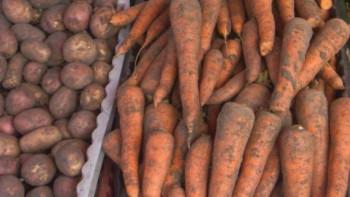 Фотография к новости: Министр картоп пен сәбіз бағасының арзандайтын уақытын айтты