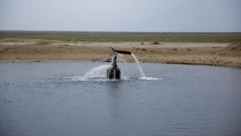 Фотография к новости: Алдағы уақытта еліміздегі су мөлшері төмендейді – министр