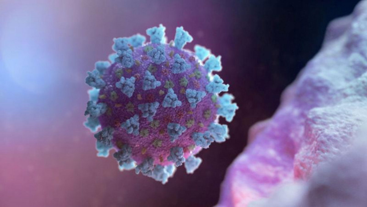 Вирус неліктен мутацияға ұшырайды? – маман жауап берді