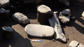 Фотография к новости: Шығыс Қазақстанда жүргізілген қазба жұмыстары кезінде құнды жәдігерлер табылды