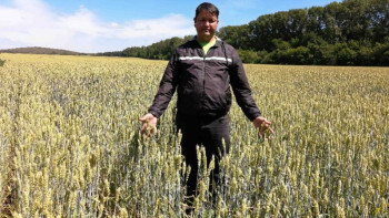 Фотография к новости: Шығысқазақстандық агрономдар дақылдың жаңа түрін өсіріп жатыр