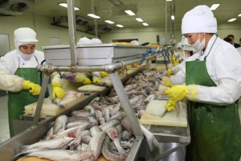 Фотография к новости: Қызылорданың балығы 9 елге экспортталады
