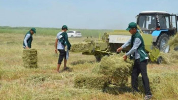 Фотография к новости: Қызылорда облысы Арал ауданына қуаңшылыққа байланысты көмектер беріліп жатыр   