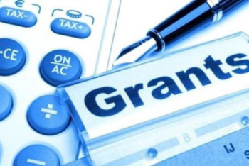 Фотография к новости: Биыл ауыл әйелдеріне 16 грант бөлінеді – Сүлейменов