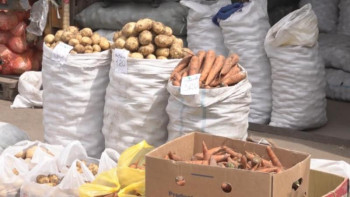 Фотография к новости: Павлодар облысындағы азық-түлік бағасы елімізде ең арзан 