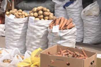 Павлодар облысындағы азық-түлік бағасы елімізде ең арзан 