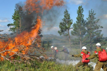 Фотография к новости: Елімізде 500-ден астам орман өртенген – ТЖМ өкілі