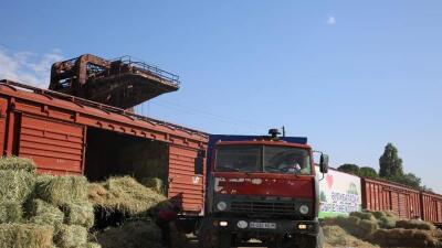 Жамбыл облысы Қызылорда өңіріне 400 тонна шөп жөнелтті