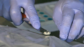 Фотография к новости: Түркістан облысында деструктивті діни ағым өкілінен есірткі мен патрондар  табылды