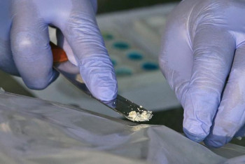 Фотография к новости: Түркістан облысында деструктивті діни ағым өкілінен есірткі мен патрондар  табылды