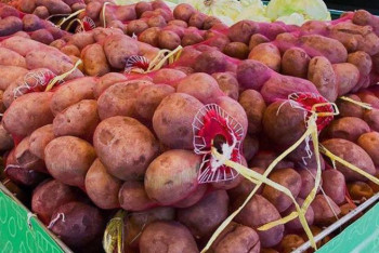 Фотография к новости: Сұлтанов азық-түлік бағасын тұрақтандыру үшін қандай шаралар қажет екенін айтты