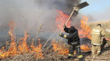 Фотография к новости: Биыл Жамбылда өрттен болған шығын 17 млн теңгеден асты – Әкімбаев
