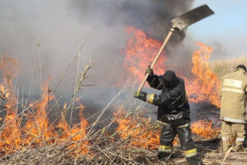 Фотография к новости: Биыл Жамбылда өрттен болған шығын 17 млн теңгеден асты – Әкімбаев