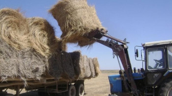 Фотография к новости: Қарашөкеев қуаңшылық жайлаған өңірлерге шөп жеткізген волонтерлерге алғыс білдірді