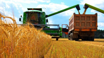 Фотография к новости: Биыл қанша тонна астық жиналатыны айтылды