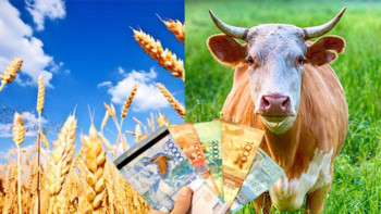 Фотография к новости: Субсидия әзірлеу тәртібі түсінікті әрі ашық болуы тиіс – Қасым-Жомарт Тоқаев