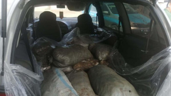 Фотография к новости: БҚО полицейлері жарты тонна балық тәркіледі 