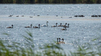 Фотография к новости: Кіші Талдыкөлді бірге сақтайық! Экобелсенділер Президенттен көмек сұрады