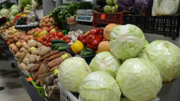 Фотография к новости: Сәбіз 122 теңгеге арзандады. Вице-министр қандай өндімдердің бағасы арзандағанын айтты